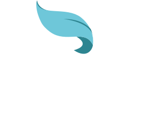 Vida Vacations